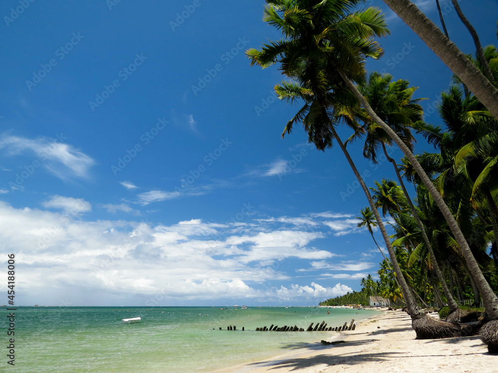 Obraz premium beach; ocean;