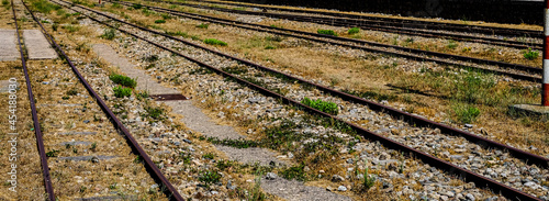 Tablou pe pânză view of old train station tracks covered with grass