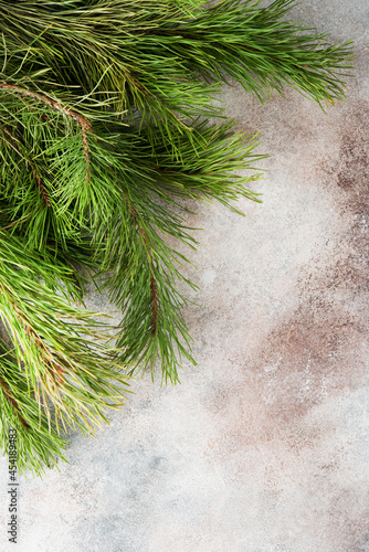 Christmas background with Christmas tree branches, top view © Evgenija