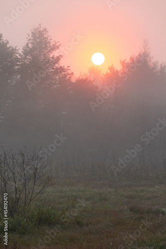 Dramatic morning sun fights through fog to create a brilliant light show