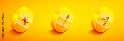 Set Isometric Centipede insect, Shovel and Swiss army knife icon. Vector