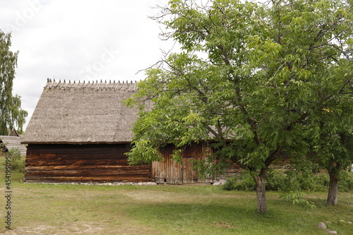 Chata drewniana rustykalna na wsi latem
