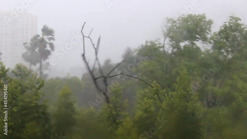 Heavy rain and powerful wind making trees swinging all around due to the influence of the strongest tropical cyclone Tauktae on the west coast of India