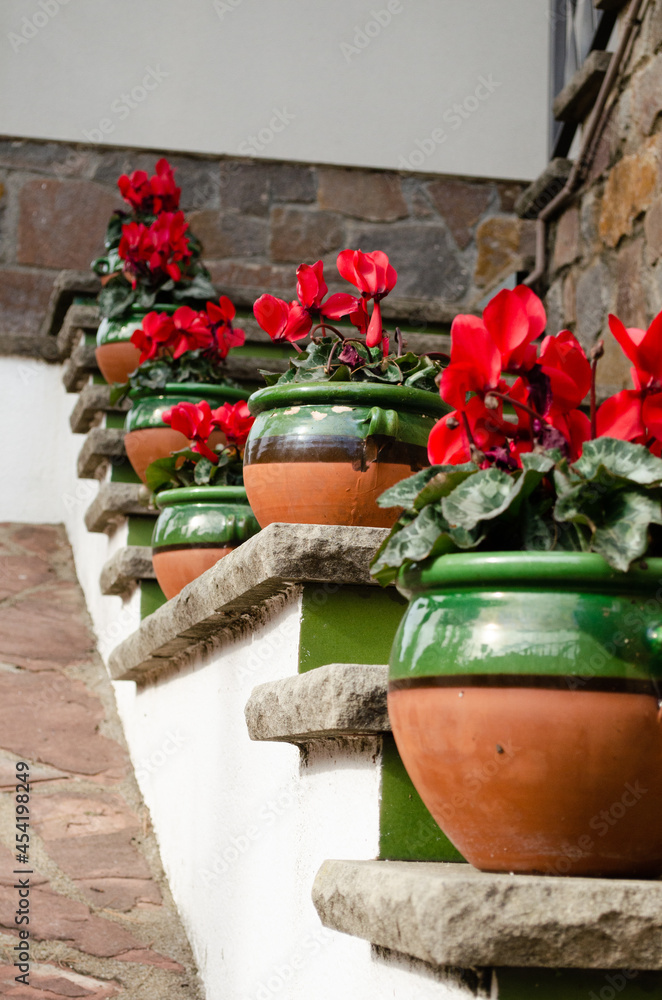 Red flowers on a green ladder