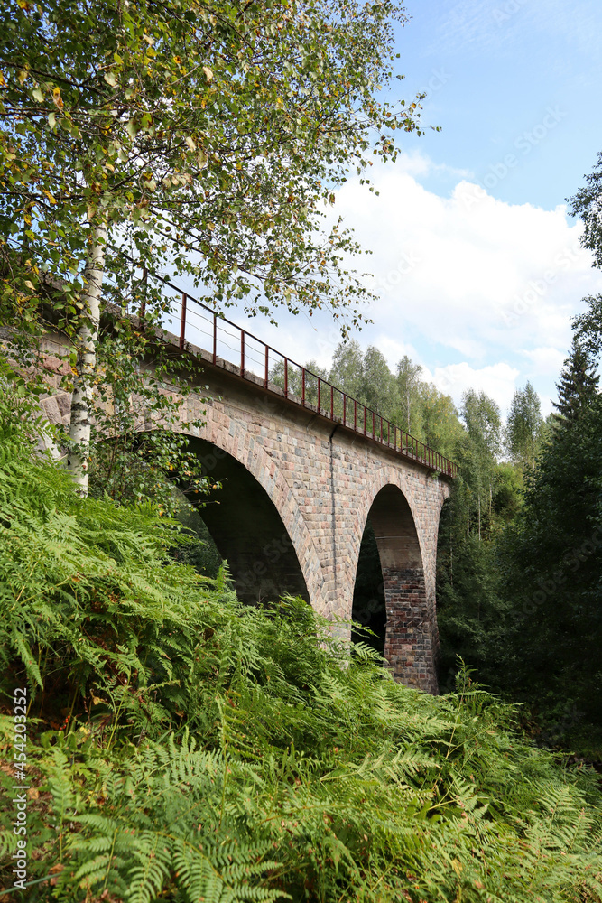 Fototapeta premium old abandoned stone railway arch bridge over the river in the forest