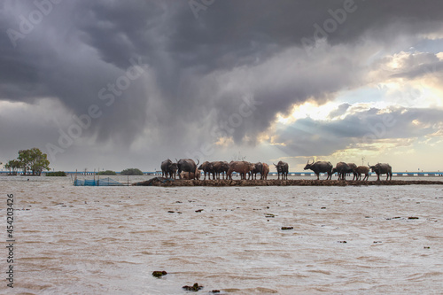 thale noi bird watching park