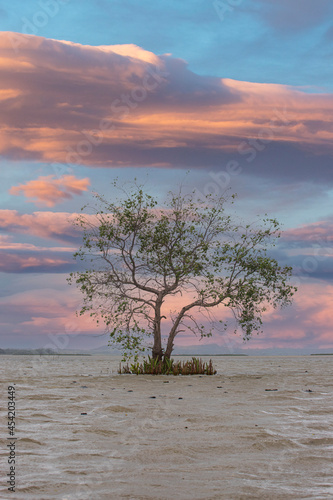 thale noi bird watching park