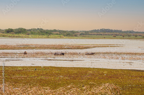 thale noi bird watching park