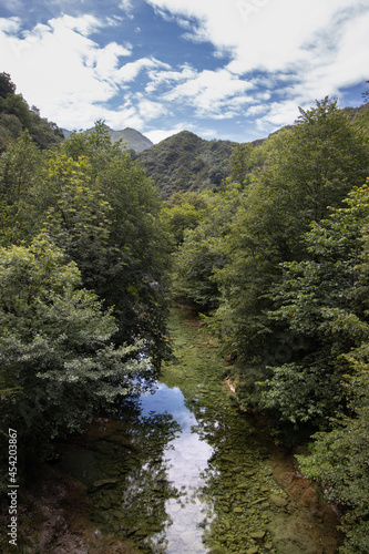 river crossing a forest in the mountains © Daniel