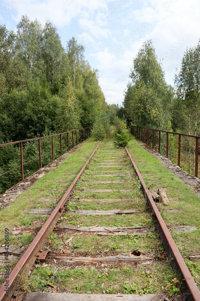 rusty rails of abandoned railway on the old bridge surrounded by forest