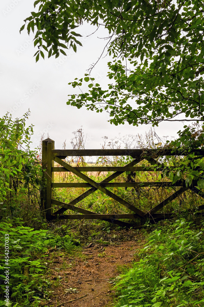 Wooden gate at the end of a dirt track. No people.