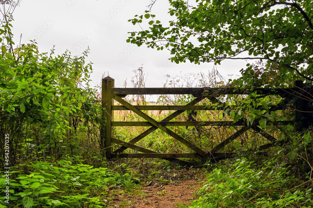 Wooden gate at the end of a dirt track. No people. Wooden gate at the end of a dirt track. No people.