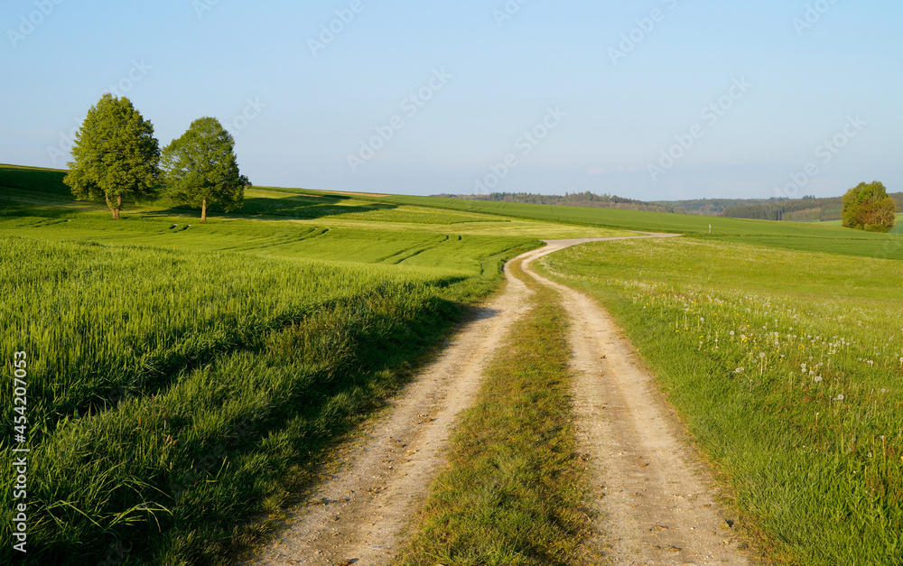 a scenic endless road leading through the picturesque Bavarian countryside on a sunny summer day with the blue sky (Winterbach, Bavaria, Germany)