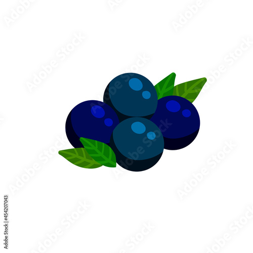Acai berries. Pile of Black fruit. Detox and antioxidant. Healthy diet and super food in bowl. Flat cartoon illustration isolated on white
