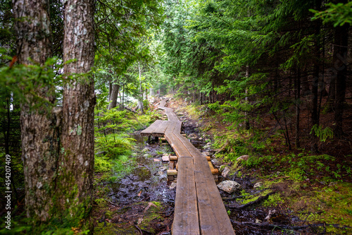 Elevated boardwalk path along western edge of Jordan Pond in Acadia National Park, Maine, USA