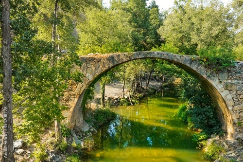 bridge in the park © vedatates