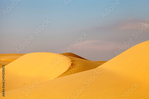 Liwa desert in the United Arab Emirates