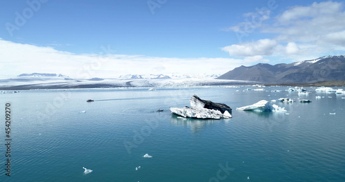 Aerial view over Glacier lagoon in Europe Iceland Melting icebergs with snowy mountains Concept of global warming, February 2021 