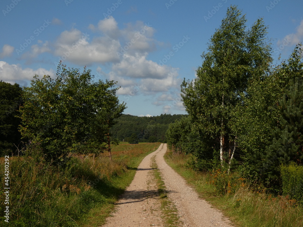 Dirt road at the edge of the forest under blue sky with white clouds, Kozin, Pomorskie province, Poland