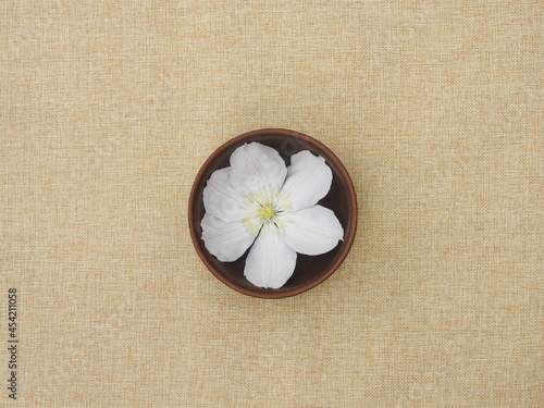 frangipani flower in bowl