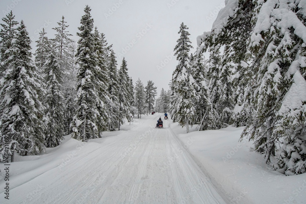 snowmobile in the forests of lapland snowmobile in the forests of lapland