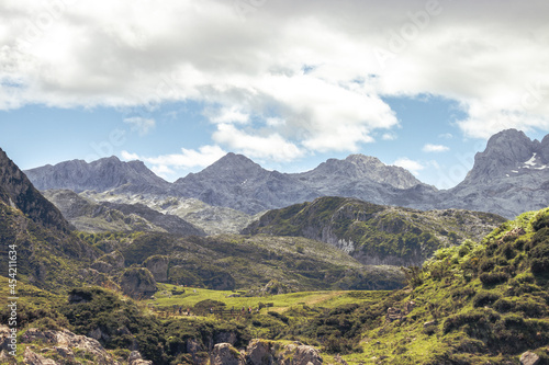 Landscape of the mountains of Picos de Europa, Asturias, Spain. Blue sky and some white clouds
