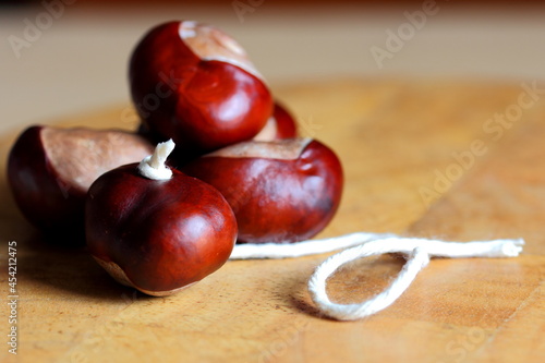 Stringing conkers ready for a conker competition