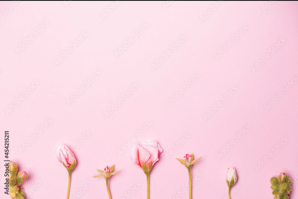 Pink background with flowers, minimalist concept
