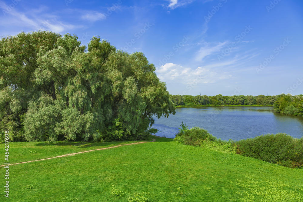 River landscape with bright green trees on a sunny summer day