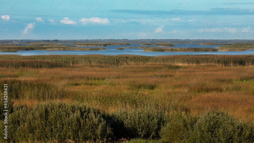 Lubana wetland, nature reserve, Latvia