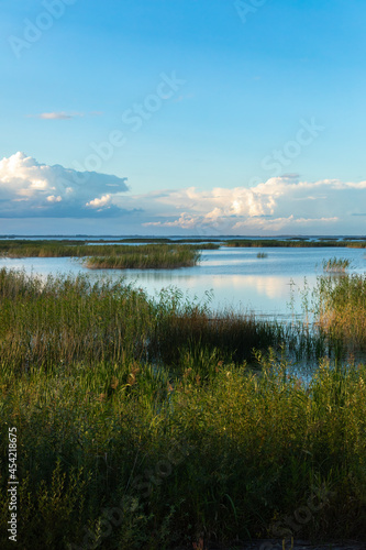 Lubana wetland in autumn  nature reserve  Latvia