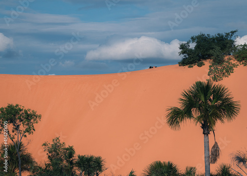 Wallpaper Mural A incrível duna do Jalapão Torontodigital.ca