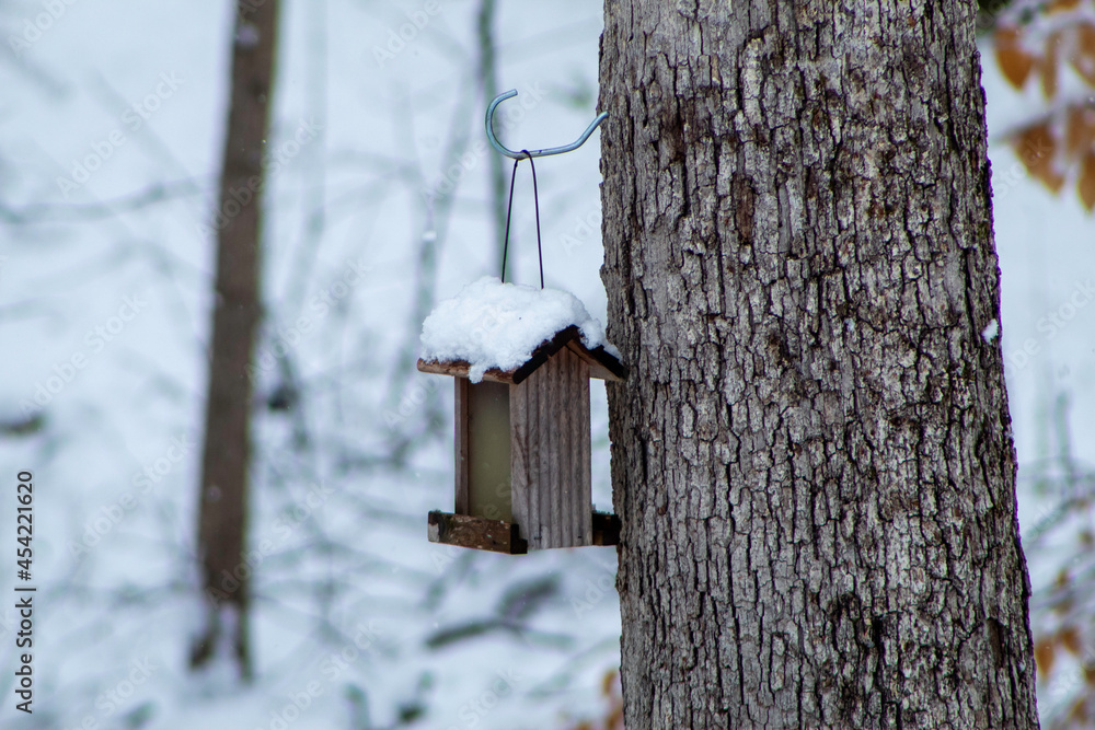 bird house on a tree bird house on a tree