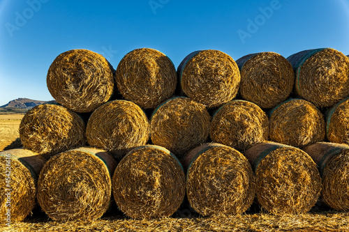 Quadro su tela Circular bales of hay stacked three high
