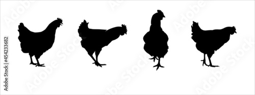 Hen silhouettes vector set. Chicken farm illustration