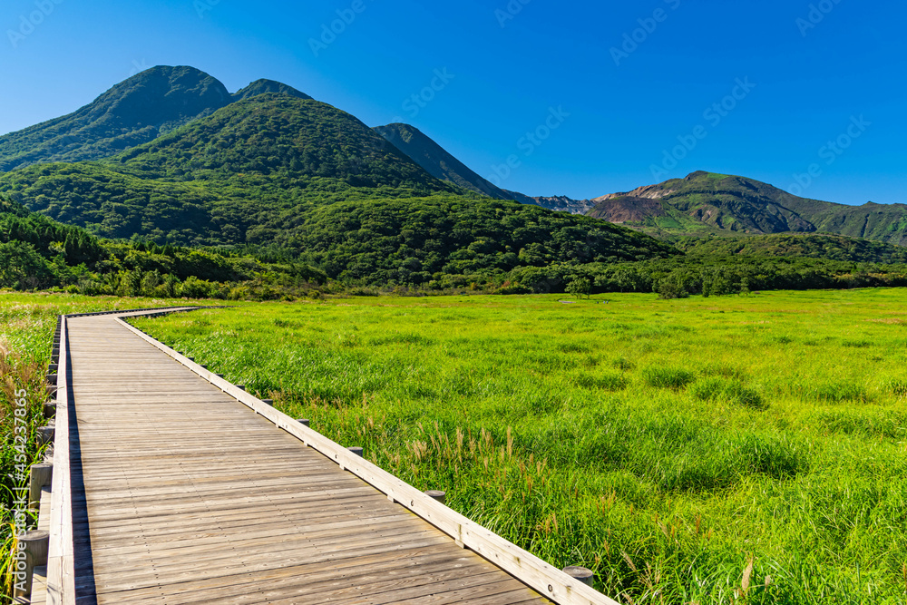 夏のくじゅう連山、長者原湿原の風景