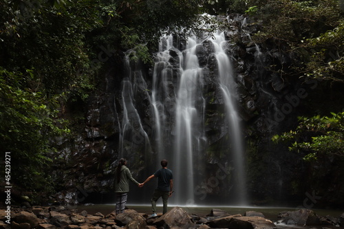 waterfall in the forest