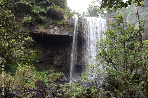 waterfall in the forest