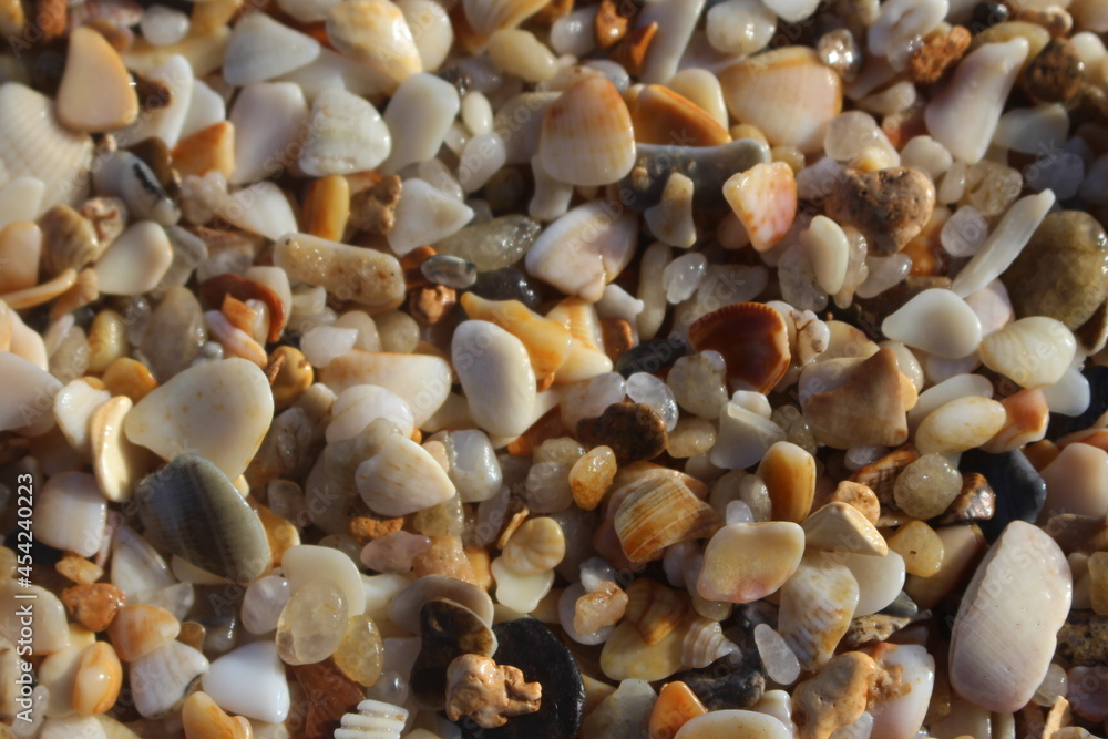 rocks and broken shells on the beach sand