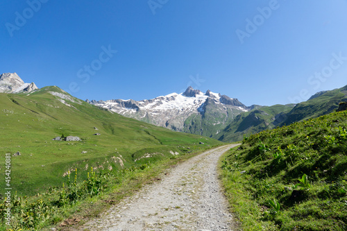 Panoramic view of relaxing mountain scenery with mountains in the background and meadow, grass on a nice, sunny day