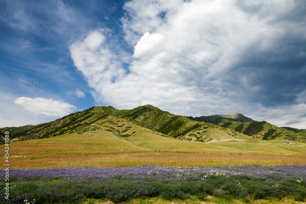 The beautiful wildflowers by the lake side.