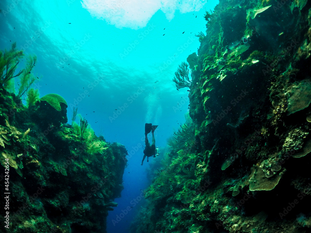 Fototapeta premium scuba dive in San Andres Island, colombia