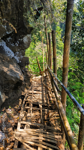 wooden bridge in the forest