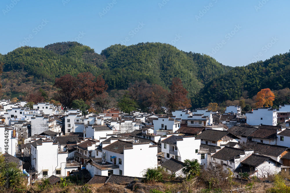 Obraz premium Landscape of Wuyuan County with Yellow oilseed rape field and Blooming canola flowers in spring. It nears Yellow Mountain. It's very quiet. People refer it to as the most beautiful village of China.