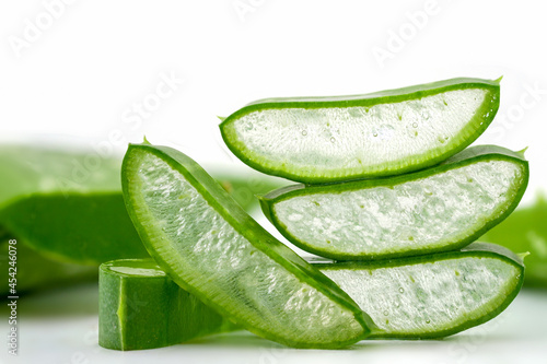 Close-up aloe vera or Star cactus (Aloe vera (L.) Burm.f.) on a white background. Herbs that are commonly used to treat skin.