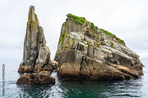 Rock formations with Seals in Aialik Bay of Kenai Fjords National Park, Alaska