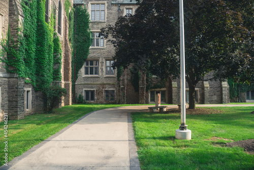 Beautiful view of a old building with vines in the summer