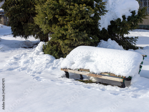 Wallpaper Mural Winter park, snow, frosty, morning, walking in the fresh air, weather, conditions, nature, natural winter climatic conditions, sparkling snow, sunny weather. Torontodigital.ca