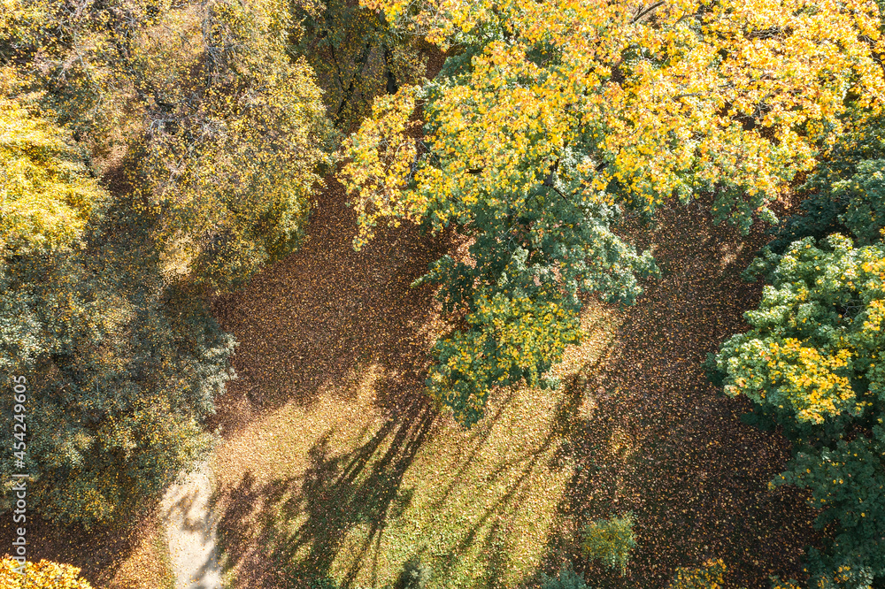 flying above a colorful treetops with yellow leaves on sunny autumn day. drone photography. flying above a colorful treetops with yellow leaves on sunny autumn day. drone photography.