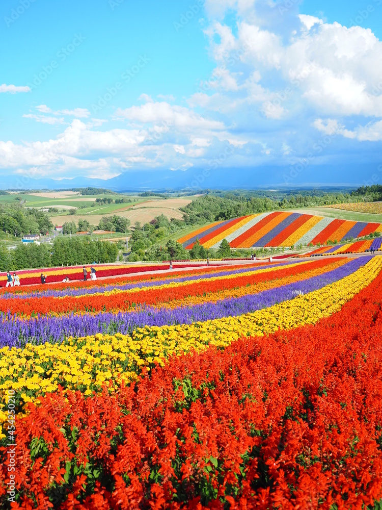 北海道の絶景 美しい秋の美瑛の丘 四季彩の丘風景 Stock Photo Adobe Stock